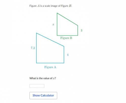 Find the value of x (only answer if you're sure)
