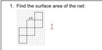 Find the surface area of the net:
