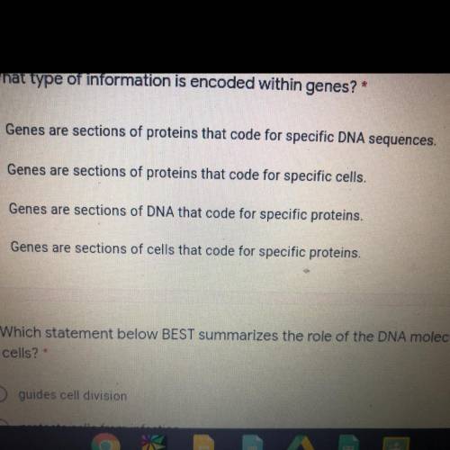 What type of information is encoded within genes?
