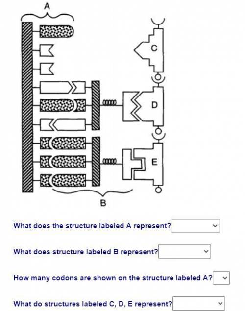 Can someone label the parts of each structure.
