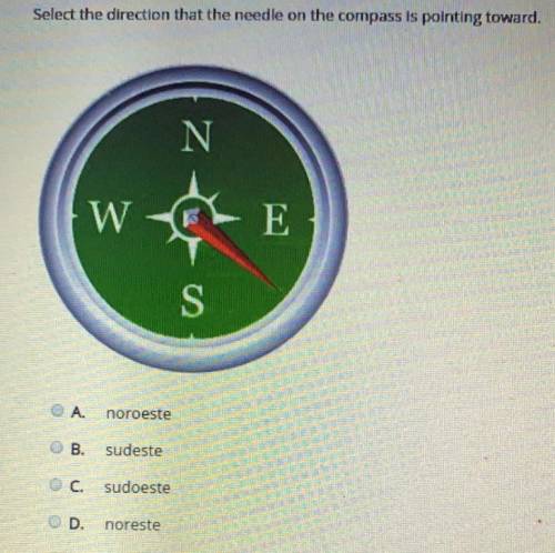Select the direction that the needle on the compass is pointing toward.