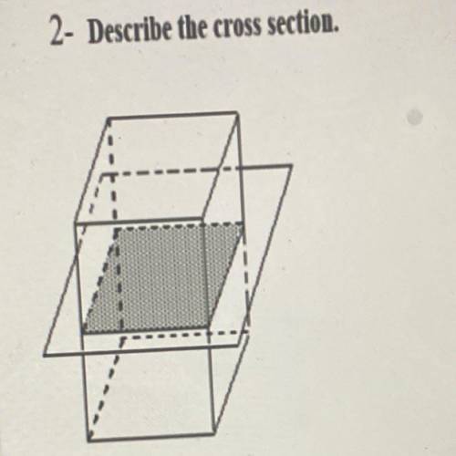 2- Describe the cross section