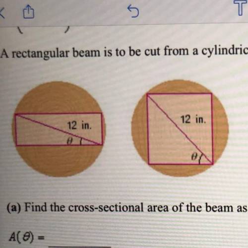 A rectangular beam is to be cut from a cylindrical log of diameter 12 in.

(a) Find the cross-sect