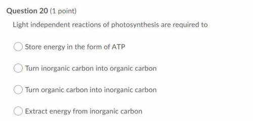 Please help asap (Photosynthesis, look at the image)