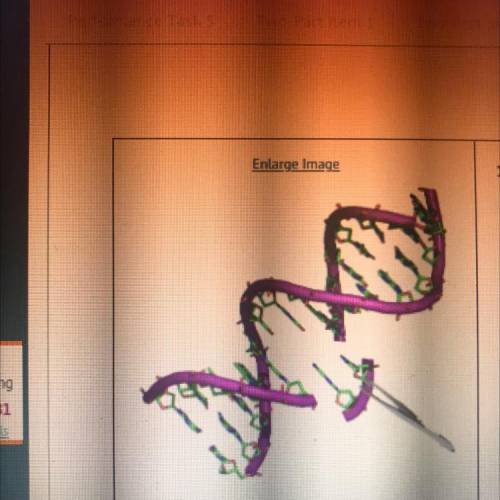 Need help with this question ASAP:

Genetic engineering is the process of making changes in the dn