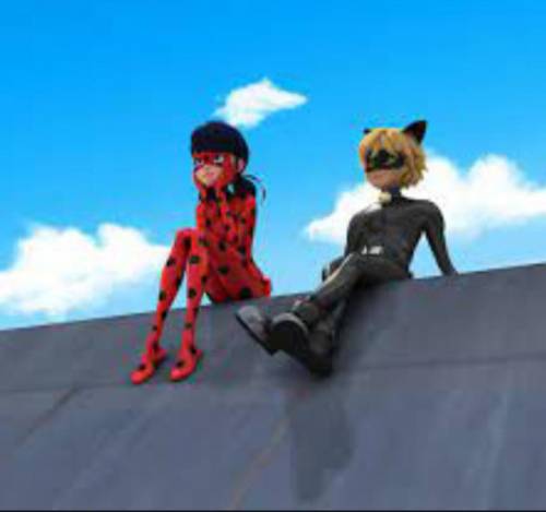 First one to find 5 pictures of ladybug and cat noir toghether get brainliest on all my questions i