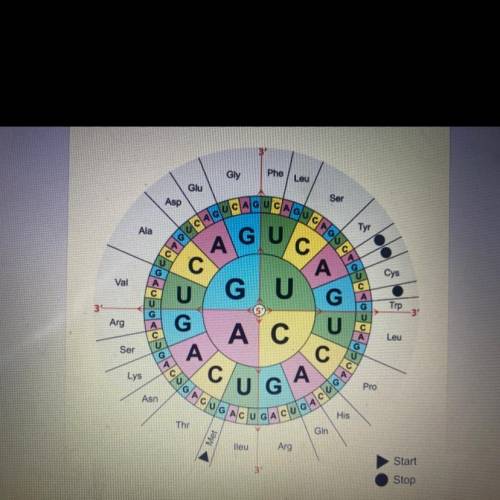 What is the complementary RNA sequence for the DNA sequence ATA
CGC TAA*
