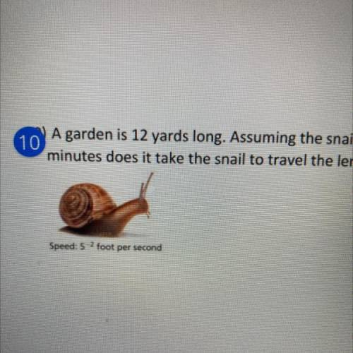 A garden is 12 yards long assuming the snail moves at a constant speed how many minutes does it tak