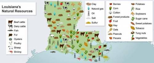 This map shows the natural resources that are available across the state of Louisiana.

According