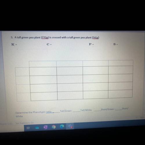 Can anyone pls help me with this?!