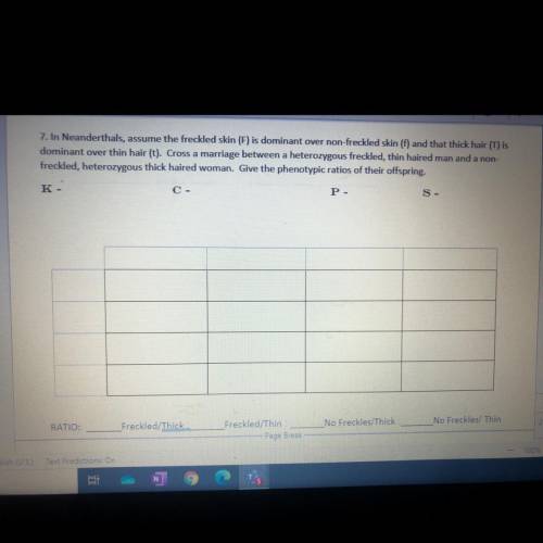 Can someone help me with this pls?!