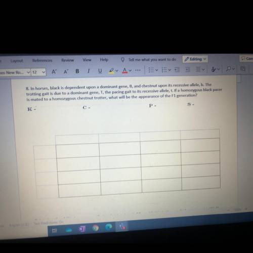 Can someone pls help me with this??!