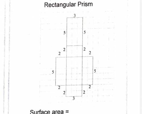 Help me find the surface area!