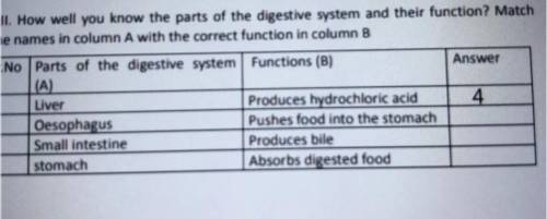QIt Now well you know the parts of the digestive system and their function? Match
the names