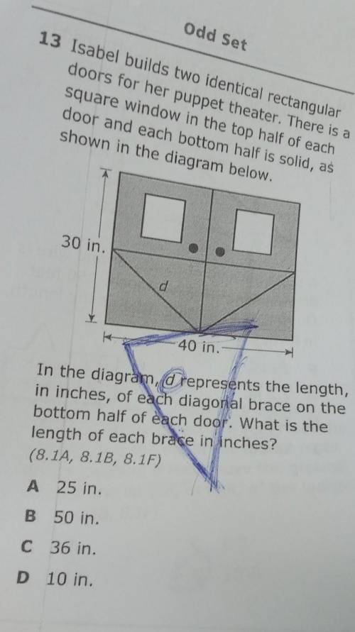 Plz Help Plz...this is hard cause im a 7th grader doing 8th grade math plz Help​