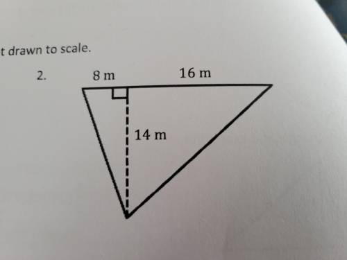Worth 18 points 2 different things for the triangle I need the area of the square the area of the s