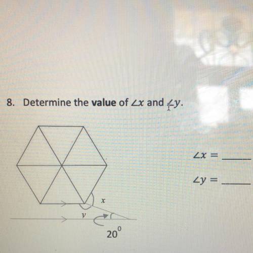 Determine the value of angle x and angle y