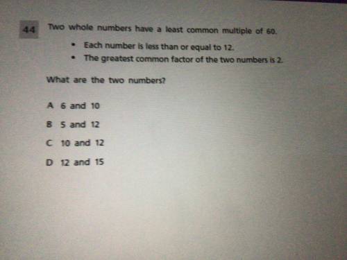 Help please I need the answer please don’t give link