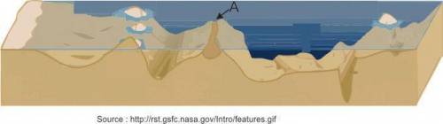 The diagram below shows some ocean floor features.

Which of these statements is correct about the