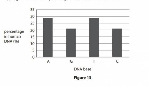 How does this data provide evidence for base pairing in dna