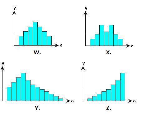 PLEASE HELP

Which histogram(s) shows a symmetric distribution?
W. 
X.
Y. 
Z.
A. 
W and X
B. 
W
C.