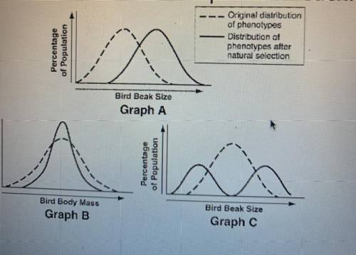 Identify the 3 types of natural selection indicates by each graph (please include written descripti