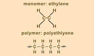 Use the diagram below to answer the following for 1 point each:

1. How does ethylene relate to po