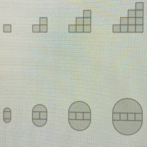 Perimeter of all these shapes?
