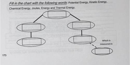 Fill in the chart with the following words:

- Potential energy
- kinetic energy
- Chemical energy