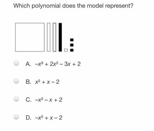 Which polynomial does the model represent
