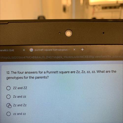 The four answers for a punnets square Zz, Zz, zz, zz what the the genotypes for the parents