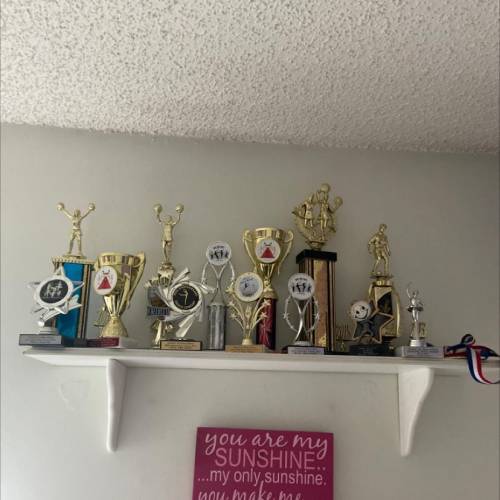 I need a poem about my trophies i only need 5 sentences short ones I’ll take a photo for u to go of