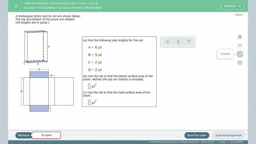 Please help! correct answer gets brainliest! I included the question and 2 examples.