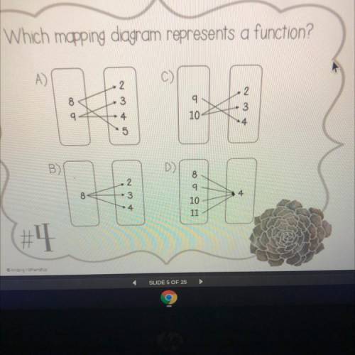Which mapping diagram represents a function ? Would it be D?
