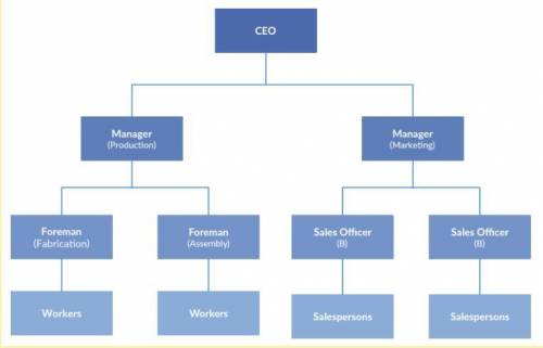 Look at the following picture and think about the organizational structure. Your task is to advise