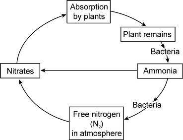 Events that take place in a biome are shown in the diagram below.

What information is represented