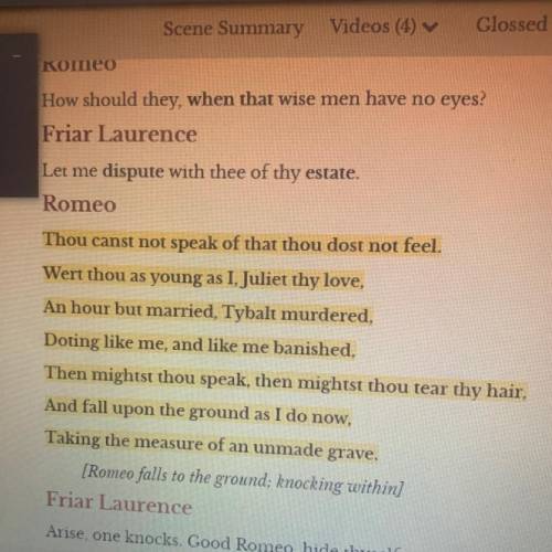 What argument is Romeo making to Friar

Laurence in these lines? Do you think he has a
point? Why