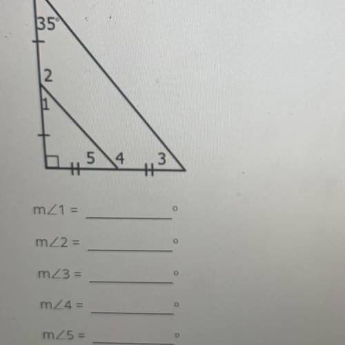 I need to find the measure of each angle and i have no clue please help