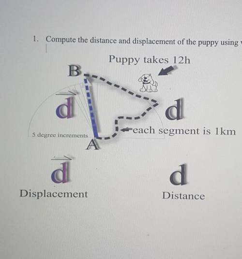 Compute the distance and displacment of the puppy using visual analysis of the diagram?​