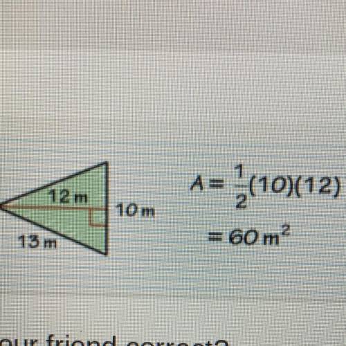 PLS HELP ME WITH THIS ITS LIKE DUE IN A FEW HOURS

“you’re friend finds the area of the triangle”