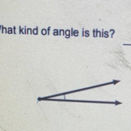 3. What kind of angle is this?
Right Angle
Straight Angle
Obtuse Angle
Accute Anglw