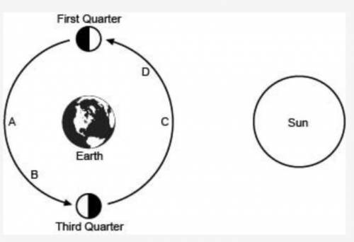 The diagram shows various positions of the moon in its orbit around Earth. The image of the moon sh