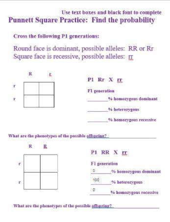 Punnett Square Practice: Find The Probability