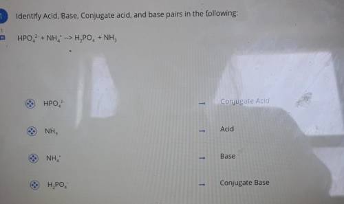 Identify Acid, Base, Conjugate acid, and base pairs in the following: HPO2 + NH -> H-PO, + NH,