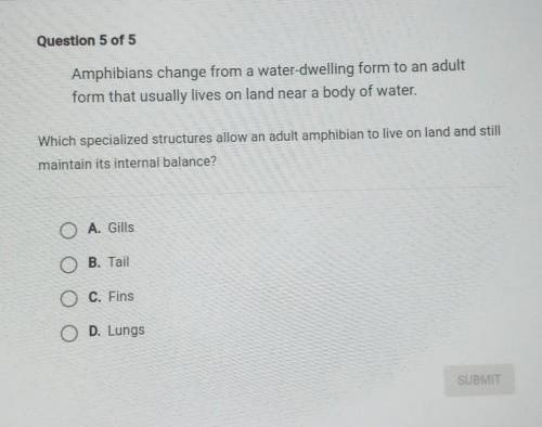 Please help with this I am confused​