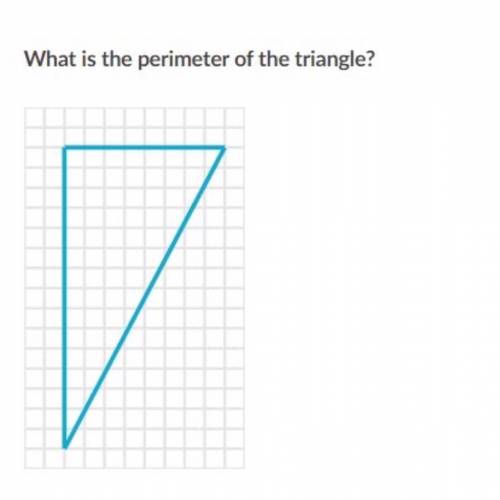 What is the perimeter for the triangle. 50 POINTS IF ITS RIGHT.