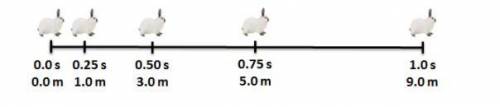 Ashley is charting the motion of her pet rabbit. The diagram below shows its position every 0.25 se