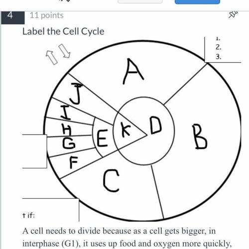 Pls help ASAP!!

A cell needs to divide because as a cell gets bigger, in interphase (G1), it uses