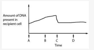 PLEASE HELP ASAP

The figure below depicts changes in the DNA content of a recipient cell engaged