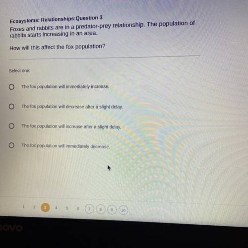 I really need help, can someone answer for me?